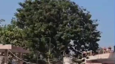 मंदसौर: पशुपतिनाथ लोक निर्माण का लोकार्पण करने आ रहे मुख्यमंत्री का कार्यक्रम हुआ निरस्त