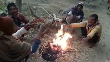 কৃষ্ণগঞ্জ: সারা রাজ্যের সাথে সাথে জাঁকিয়ে শীত নদীয়ার কৃষ্ণগঞ্জের মাজদিয়াতেও, জুবুথুবু অবস্থা এলাকাবাসীর