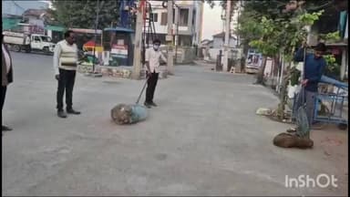 మెట్పల్లి: పట్టణం మున్సిపల్ ఆధ్వర్యంలో స్వతంత్ర ఎనిమల్ వెల్ఫేర్ ఆర్గనైజేషన్ ద్వారా వీధి కుక్కలను ఎనిమల్ హెల్త్ సెంటర్కు తరలింపు