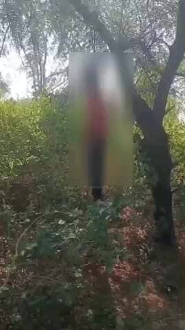 મેઘરજ: મેઘરજ તાલુકાના મૂડસી ગામે મસાર વાઘાભાઈ નામના આધેડ પુરુષની ઝાડની ડાળીએ લટકતી હાલતમાં લાશ મળી.