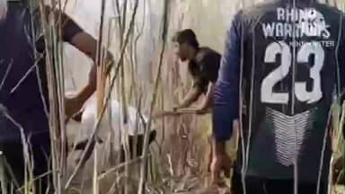 পশ্চিম যোৰহাট: অৰণ্য মানৱ যাদৱ পায়েঙৰ মূলাই কাঠনি ২.০ জ্বলাই দিলে দুষ্ট চক্ৰই , বাসগৃহত প্ৰতিক্ৰিয়া জীয়াৰী মুনমুনি পায়েঙৰ