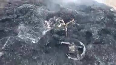 दुर्गावती: सोहपुर गांव की बधार में पुआल के ढेर में जली हुई चोरी की बाइक मिली, मामले की जांच में जुटी दुर्गावती पुलिस