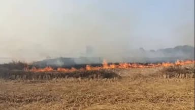 कसडोल: सेल में जिंदा जली महिला की घटना पर पुलिस जुटी जांच में, खेतों में पराली जलाने से हुई घटना