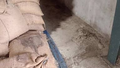 अनूपपुर: मां शारदा वीओटी पयारी क्रमांक-1 वेयरहाउस में चावल सड़ने का मामला, खाद्य विभाग चुप