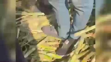 पैठण: रस्त्याच्या कडे चे साईड पंखे न भरल्याने विहामांडवा खंडाळा रस्त्यावर घडत आहे अपघात