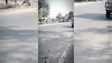 વડાલી: ધરોઈ રોડ પર અકસ્માતમાં ગાયનું મોત:બાઈક ચાલકનો આબાદ બચાવ થયો,જીવદયા ટીમે શાસ્ત્રોક્ત વિધિથી ગાયની દફનવિધિ કરી