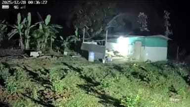 ಕೊರಟಗೆರೆ: ಮಲಗಿದ್ದ ನಾಯಿಯನ್ನು ಹೊತ್ತೊಯ್ದ ಚಿರತೆ, ಸಿಸಿಟಿವಿಯಲ್ಲಿ ದೃಶ್ಯಸರ