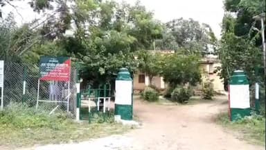 सोयगाव: सोयगाव तालुक्यातील विविध गावांमध्ये वन्य प्राण्यांचा धुमाकूळ शेतकऱ्यांची मोठ्या प्रमाणात नुकसान