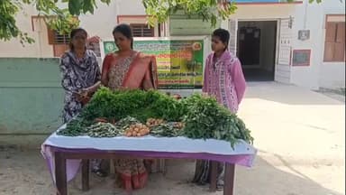 పలమనేరు: ప్రకృతి వ్యవసాయాన్ని ప్రోత్సహించండి మహిళా రైతు రాజమ్మ వినతి