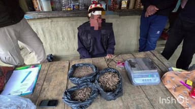 ধেমাজি: বৰদলনিত সন্দেহযুক্ত গাঞ্জা জব্দ কৰা লগতে এজন লোক আটক কৰে আৰক্ষীয়ে