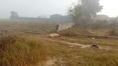 ਨਿਹਾਲ ਸਿੰਘਵਾਲਾ: ਨਿਹਾਲ ਸਿੰਘ ਵਾਲਾ ਵਿਖੇ ਦਿਨ ਦਿਹਾੜੇ ਵੇਅਰ ਹਾਉਸ ਦੇ ਗੁਦਾਮ ਵਿੱਚੋ ਕੀਤੀ ਗਈ ਕਣਕ ਚੋਰੀ