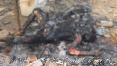 पथरिया: नंदरई में सजिया हार के पास मिला जला हुआ शव, क्षेत्र में फैली सनसनी, करंट से मौत की आशंका