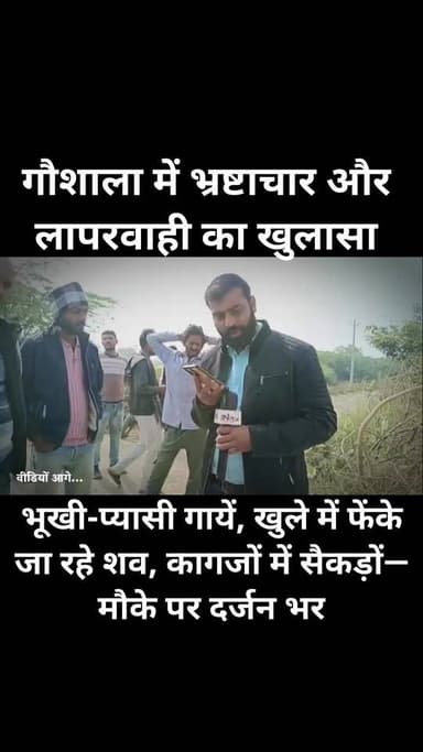 महेवा ब्लॉक की गौशाला में भ्रष्टाचार और लापरवाही का खुलासा
भूखी-प्यासी गायें, खुले में फेंके जा रहे शव, कागजों में सैकड...