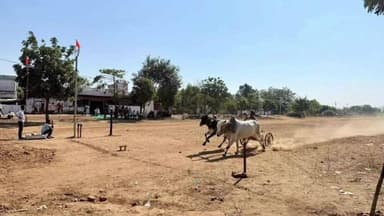 अर्जुनी मोरगाव: अरततोंडी/दाभना येथे शंकरपटाच्या आयोजनाप्रसंगी जिल्हा परिषद अध्यक्ष लायकराम भेंडारकर यांनी दर्शविली उपस्थिती