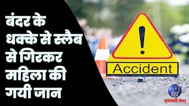 बंदर के धक्के से स्लैब से गिरकर महिला की गयी जान #policebharti #maharashtrapolitics #crimenews