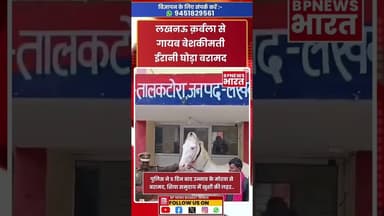लखनऊ कर्बला से गायब ईरानी घोड़ा उन्नाव में बरामद हुआ #shia #karbala #iran #lucknow #breakingnews