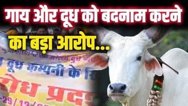 गौ-पालन को बदनाम करने का आरोप, वचन डेयरी के खिलाफ यादव समाज का आंदोलन!#गौमाता #news #गौसेवक #गौरक्षा