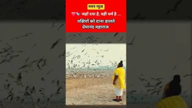 ❤️🐦 जहाँ दया है, वहीं धर्म है — पक्षियों को दाना डालते प्रेमानंद महाराज🙏 #premanandjimaharaj #bird
