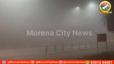 मुरैना में घना कोहरा, हाइवे से लेकर एम.एस रोड तक दृश्यता हुई कम
मुरैना में शाम 8 बजे से घना कोहरा छा गया, हाइवे से लेकर...