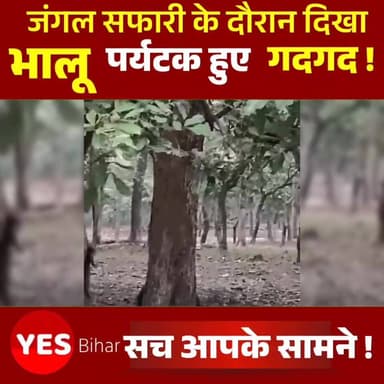 वीटीआर में जंगल सफारी के दौरान दिखा भालू पर्यटक हुए गदगद। #VTR #ValmikiTigerReserve #JungleSafari #WildlifeSafari #BearS...