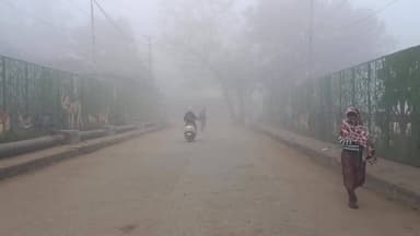 उमरिया भीषण ठंड 29.12.25 को सुबह से छाया रहा घना कोहरा देखिए उमरिया की खबर
#स्वराजexpresssmbc #umariabbjp #CMMadhyaPrade...