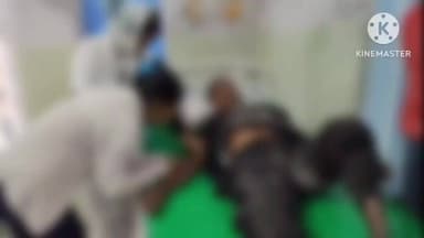 নগাঁও: নগাঁৱৰ জলাহ গাঁৱত বন্যহস্তীৰ আক্ৰমণত গুৰুতৰভাৱে আহত তিনিজন লোক,চিকিৎসালয়ত ভৰ্তি