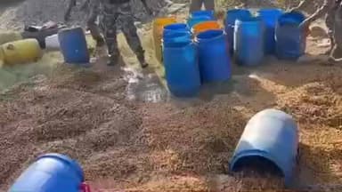 बरकागाँव: बड़कागांव पुलिस ने 131 ड्रम जावा महुआ किया नष्ट