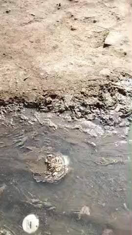 giram hansrod tesil sutaliya jila rajghad