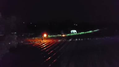 दारू: दारू के पूरणाडीह समेत ग्रामीण इलाकों में जंगली हाथी का तांडव, कई एकड़ फसलें रौंदी