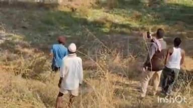 सुरगाणा: थरारक ! शेपूझरी परिसरात बेशुद्ध बिबट्या रेस्क्यू करतांना दोन वनकर्मचारी जखमी