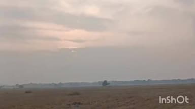 চতিয়াৰ মালৰ গাওঁত তিনিজনক বনৰীয়া গাহৰিৰ আক্ৰমণত গুৰুত্বৰ ভাবে আহত