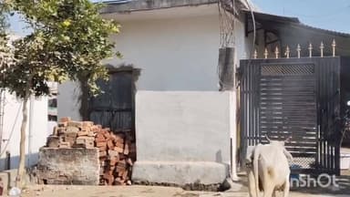 ग्राम पंचायत बोरखेड़ा में सार्वजनिक शौचालय सहित आसपास की जगह पर दबंगों का कब्जा #jansamasya