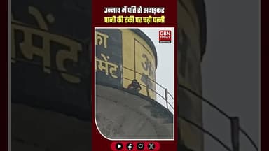 उन्नाव में हाई वोल्टेज ड्रामा: पहले घरेलू कलह, फिर 'मधुमक्खियों' का हमला! 🐝🚨 #Unnao #UnnaoNews