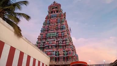 நாங்குநேரி: நாங்குநேரி 108 திவ்ய தேசமான ஸ்ரீ வானமாமலை பெருமாள் கோவிலில் சொர்க்கவாசல் திறப்பு.திறளான பக்தர்கள் தரிசனம்.