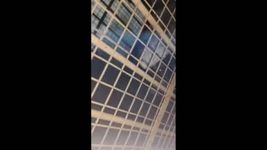 खण्डार: खंडार रणथंभौर से सटे दूमोदा गांव में कब्र बिज्जू का आतंक, दो ग्रामीण घायल, भैंसों पर हमला, वन विभाग ने किया रेस्क्यू