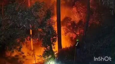 लमगड़ा: ठंड के मौसम के बीच लमगड़ा क्षेत्र में धधकते जंगल, फायर सर्विस टीम ने त्वरित कार्रवाई कर आग पर पाया काबू