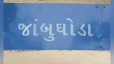 જાંબુઘોડા: બોડેલીમાં ખાતર હોવા છતાં જાંબુઘોડાના ખેડૂતોને ખાતર ન અપાતું હોવાની વ્યાપક બૂમ ઉઠવા પામી