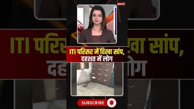 ITI परिसर में दिखा सांप, दहशत में लोग #snake #snakevideo #viralvideo #mpnews #seoni