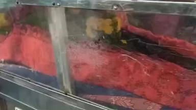 காரியாபட்டி: காரியாபட்டியில் திரைப்பட பின்னணி பாடகி லட்சுமி அம்மாள் உடல் நலக்குறைவால் உயிரிழந்தார்