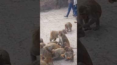 हैप्पी न्यू एयर 2026 #gameskhelkarpaisekai #love #dj #song #biharpol #nalanda #biharsharif #new year