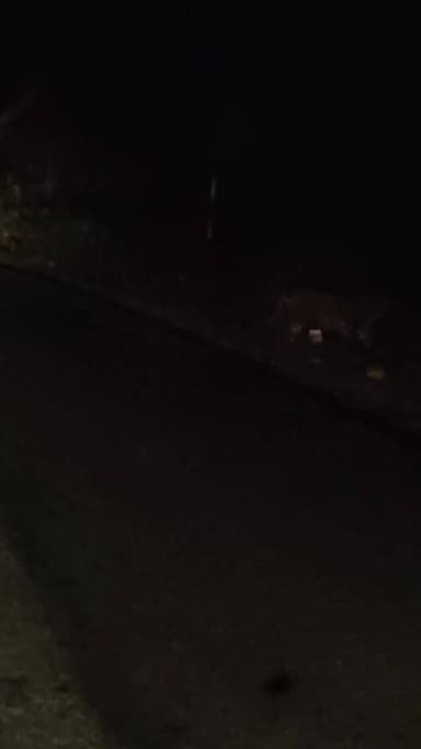 "मेटतळे-महाबळेश्वर मार्गावर बिबट्याचे दर्शन; पर्यटकांची पावले थबकली!"
महाबळेश्वर: थंड हवेचे ठिकाण आणि निसर्ग सौंदर्याने...