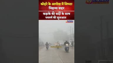 कोहरे के आगोश में लिपटा चिड़ावा शहर, कड़ाके की सर्दी के साथ नववर्ष की शुरुआत #chirawa #live #kohra