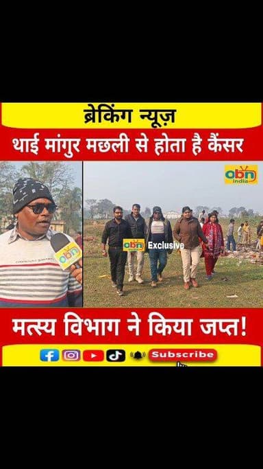 आप भी खाते है थाई मांगुर मछली तो हो जाइए सावधान। देखिये कैसे मत्स्य विभाग ने जप्त कर किया नष्ट।
#ThaiMangur
#FishBan
#Ca...