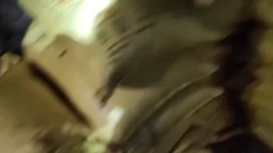 आदापुर: इनरवा से अवैध खाद्य के 46 बोरा यूरिया किया गया ज़ब्त