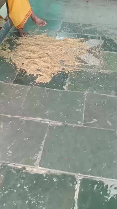 श्री बाग बागेश्वर महादेव केरवालिया
श्री श्री 1008 अखंड रामायण पाठ
और नहीं वर्ष पर यहां भंडारों का आयोजन हुआ