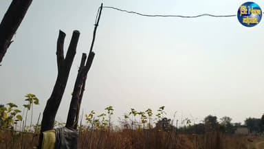 रैपुरा के रेशम फॉर्म में जहां पहले मिलता था सैकड़ो मजदूरों को रोजगार ,आज ऐसी हालत?
#पन्ना #CM #raipura #किसान