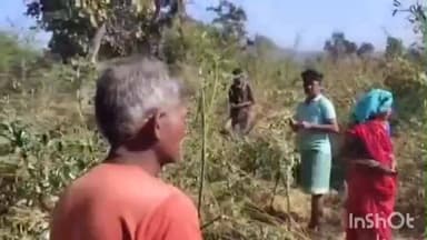 पोड़ी उपरोड़ा: ऐतमा रेंज के मातिन क्षेत्र में इन दिनों जंगली हाथियों का आतंक ग्रामीणों के लिए बन रहा है भारी मुसीबत