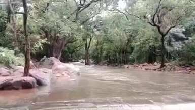 நாங்குநேரி: தொடர் மழை.களக்காடு தலையணை மற்றும் திருக்குறுங்குடி மலை நம்பி கோவிலுக்கு செல்ல தடை வனத்துறை அறிவிப்பு.