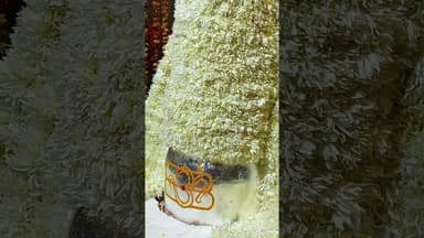 जय बाबा की #satyawadimedia #neelkanthmandir #neelkanthmahadev #thesatyawadishow #boltadausa #reel