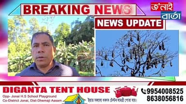 জোনাইত প্ৰকৃতি সুৰক্ষাৰ এক উৎকৃষ্ট নিদৰ্শন৷চাৰিদশক ধৰি দুষ্প্ৰাপ্য বাদুলি সংৰক্ষণ এগৰাকী ব্যক্তিৰ৷